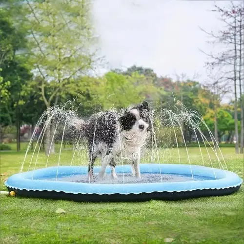 Water Sprinkler
